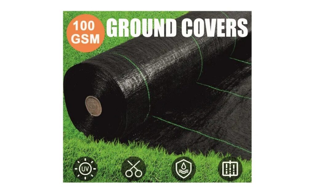 Ground Covers